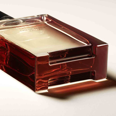 Hermès - Terre d'Hermès - Intensives Eau de Parfum