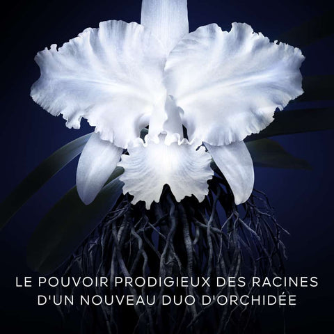 Guerlain - Orchidée Impériale - Recharge Crème 50 ml
