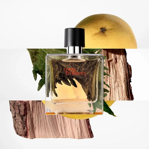Hermès - Terre d'Hermès - Parfum
