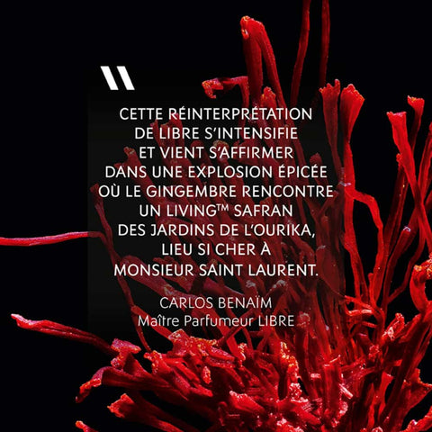 Yves Saint Laurent - Libre Le Parfum - Eau de Parfum