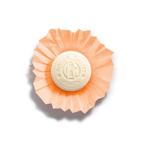 Roger & Gallet - Œillet Mignardise - Wellness Soap 100g