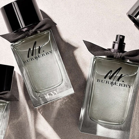 Burberry - Mr. Burberry - Eau de Toilette