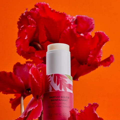 Roger & Gallet - Gingembre Rouge - Parfum Solide Bienfaisant 5g